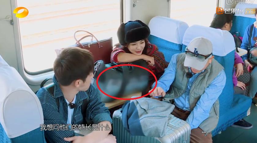 刘涛背的包,包贝尔刘涛同款