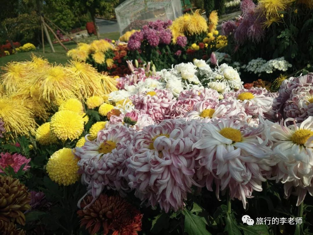 大连英歌石植物园和三寰牧场,美出天际的大连英歌石植物园