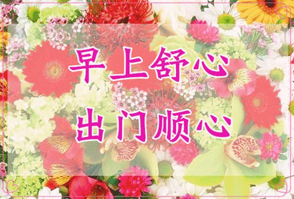 10张会动的照片,11张会动的图片