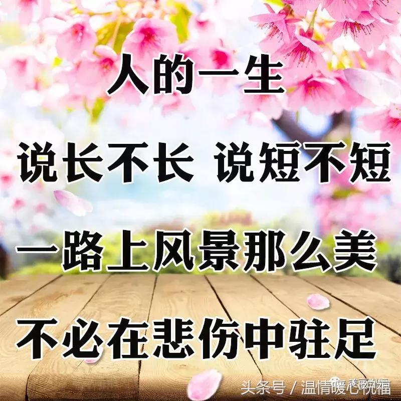 10张会动的照片,11张会动的图片