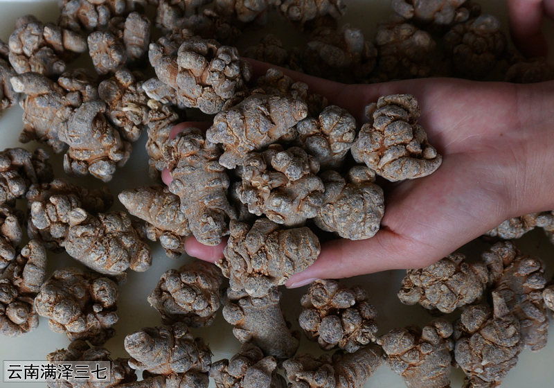 云南文山满泽30头三七田七介绍,看看三七30有是什么意思