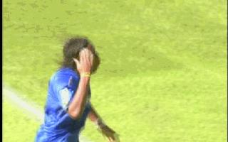 维埃里巴蒂舍普琴科范尼,足坛世界最强中锋