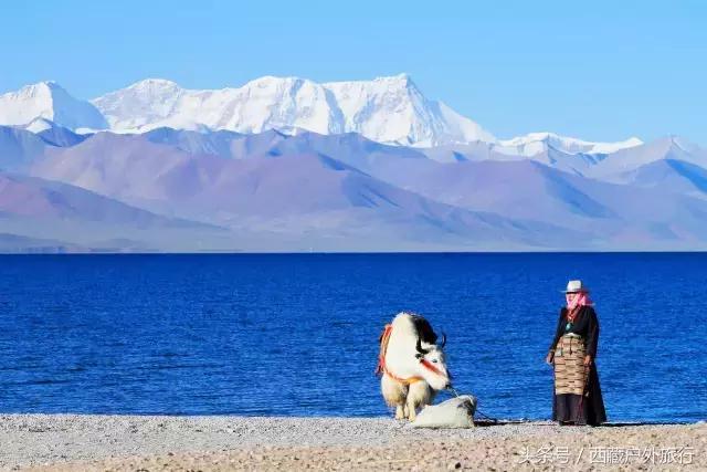拉萨林芝旅游攻略最新四天三夜,拉萨旅游攻略超详细