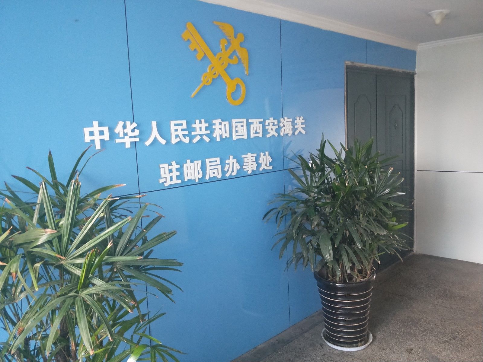 个人包裹被海关退运怎么办,个人寄东西快递损毁怎么办