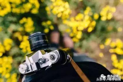 已经完全不信任家长了怎么办,家长不信任教师咋办