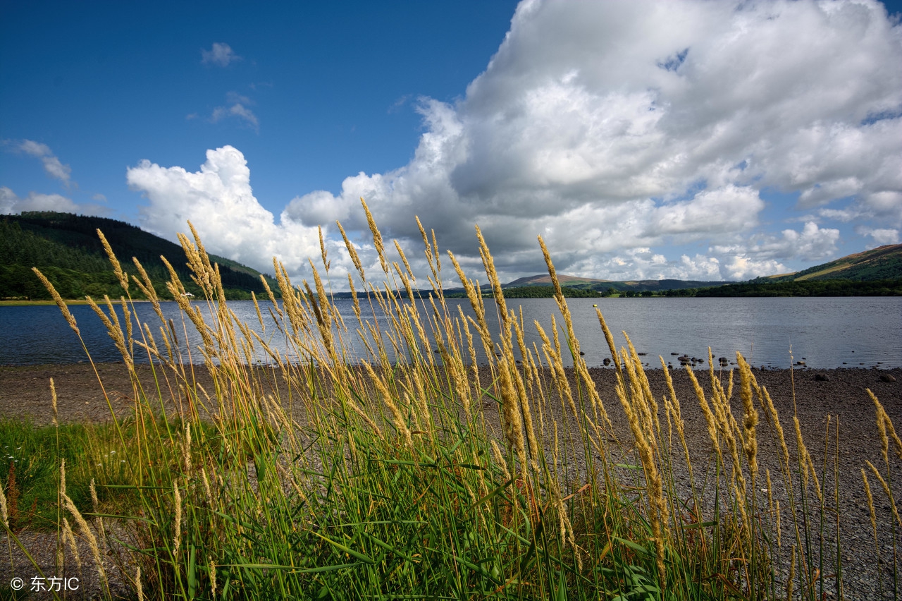 围炉夜话作者,围炉夜话原文及译文完整版