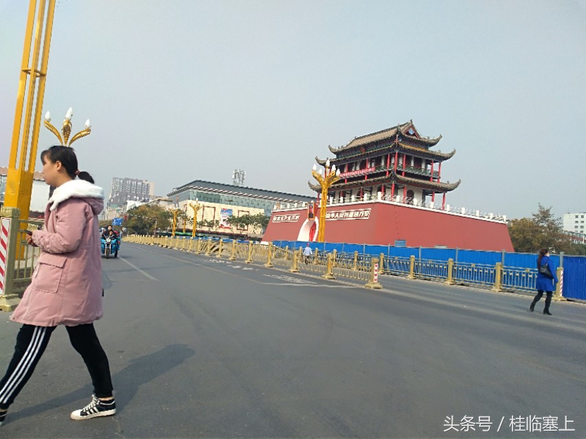银川人民广场西门口,银川人民广场梧桐树