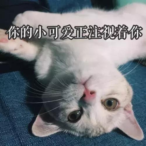 两美女合租一间房得了一样的病！胳膊上都长了奇怪形状的疹子