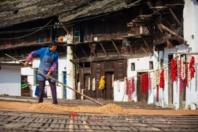 不要去杭州,杭州西湖值得去的地方