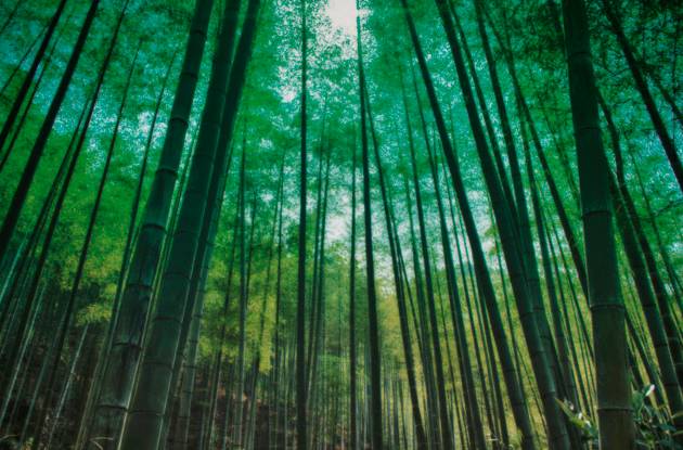 不要去杭州,杭州西湖值得去的地方