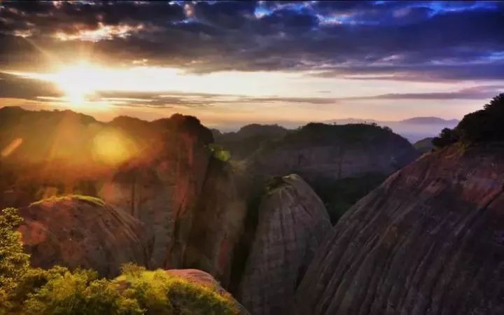 秋在广东很珍贵，若不细心寻找，它便静静地离开了