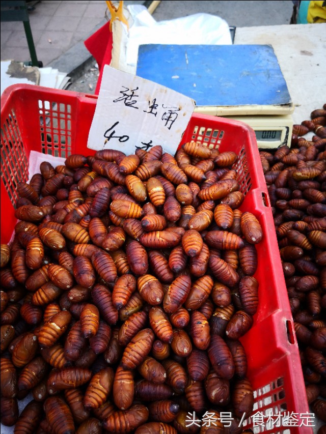 沈阳农贸市场里的美食,沈阳的秋天很美