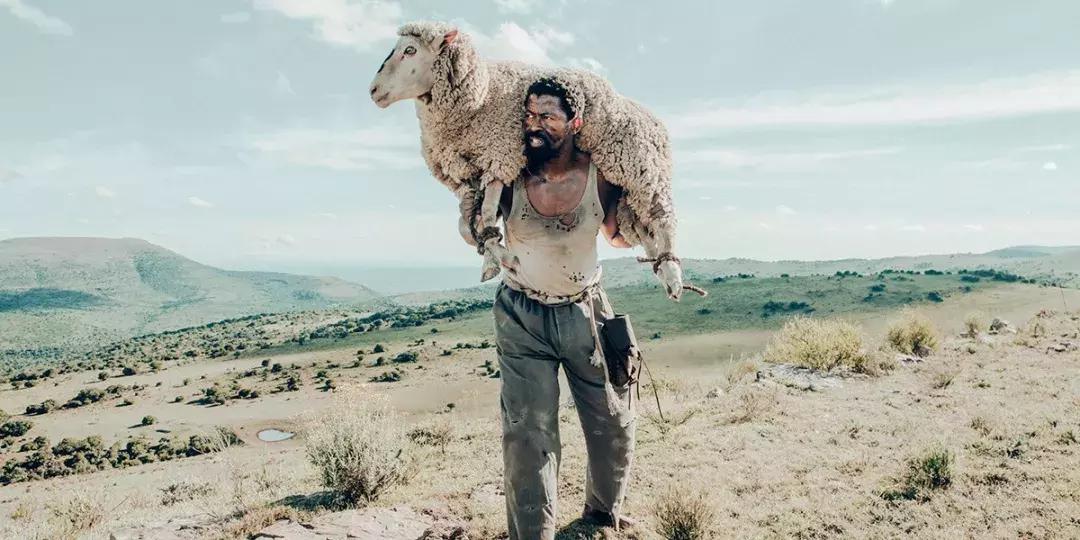 申奥片推荐,各国申奥影片产生