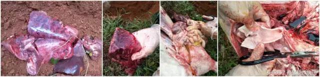 注意当前这几种病进入高发期,当心近期这几类疾病易高发