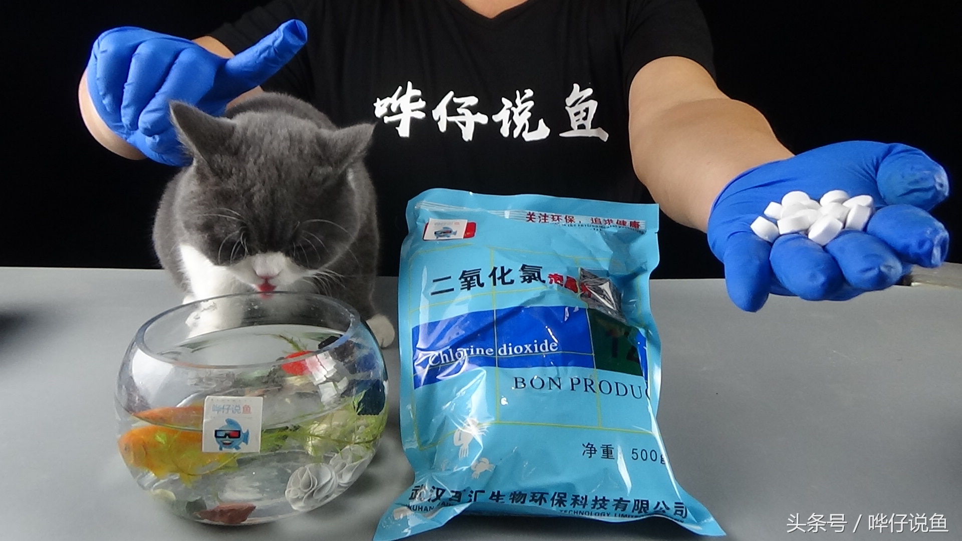 哗仔独家养水秘籍,哗仔独家开缸养水秘籍