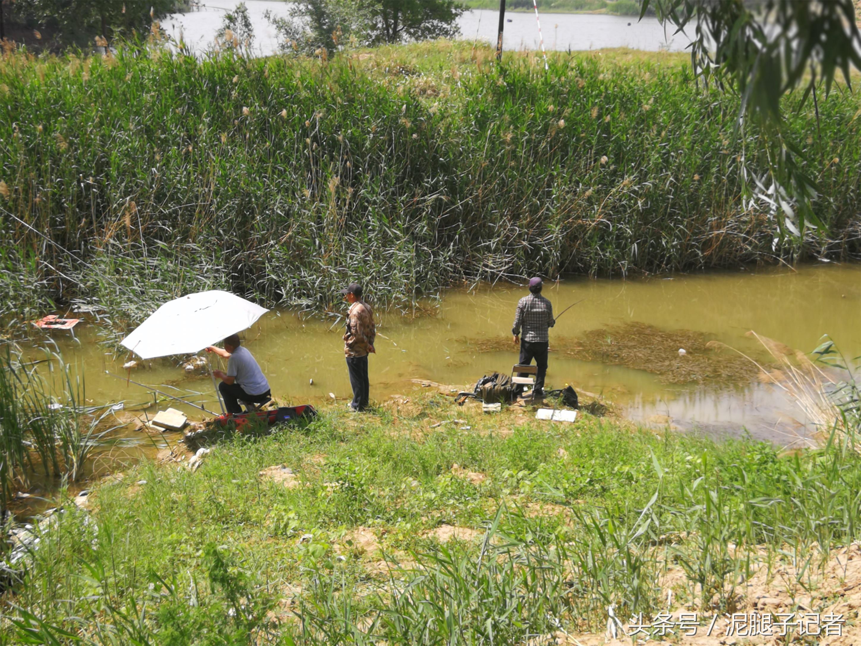 小河沟野钓能遇到什么鱼,野河沟钓鱼钓到珍稀鱼