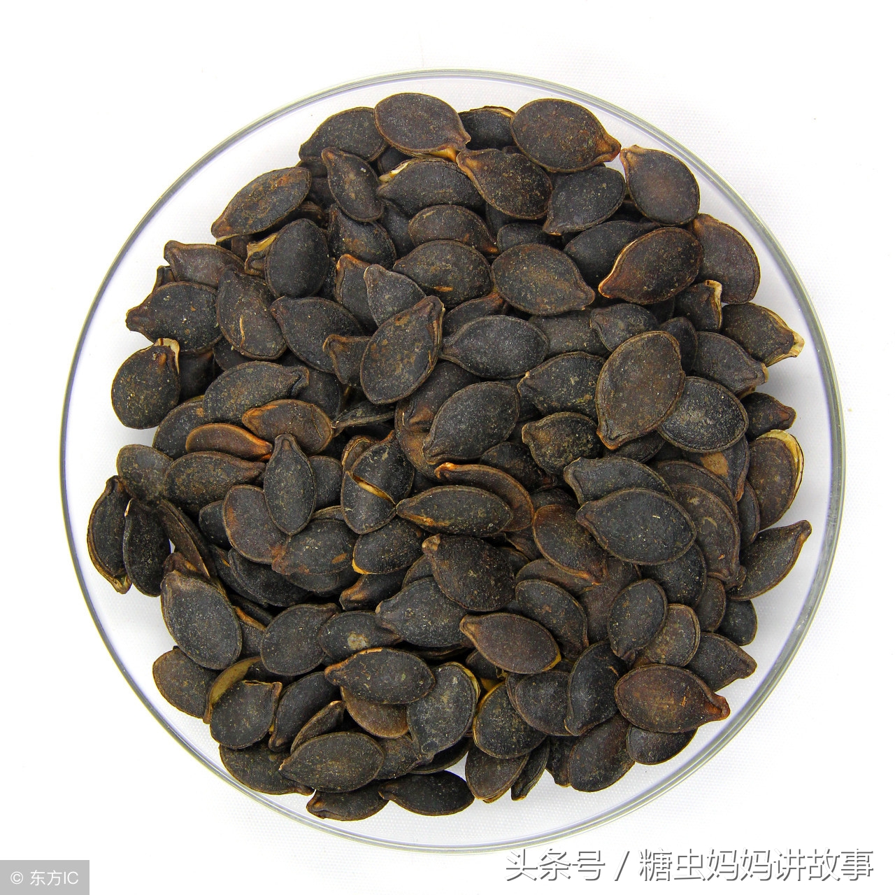 猜谜语有助于孩子提高认知能力吗,常与孩子猜谜语孩子会更聪明