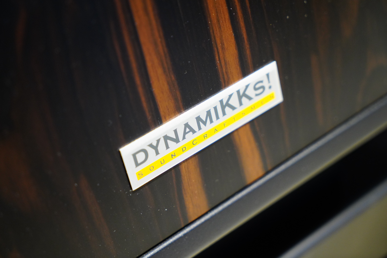 如美玉,德国dynamikks音箱