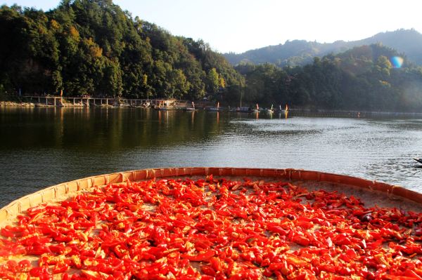 新安江山水画廊冬季好玩吗,新安江山水画廊景区精华