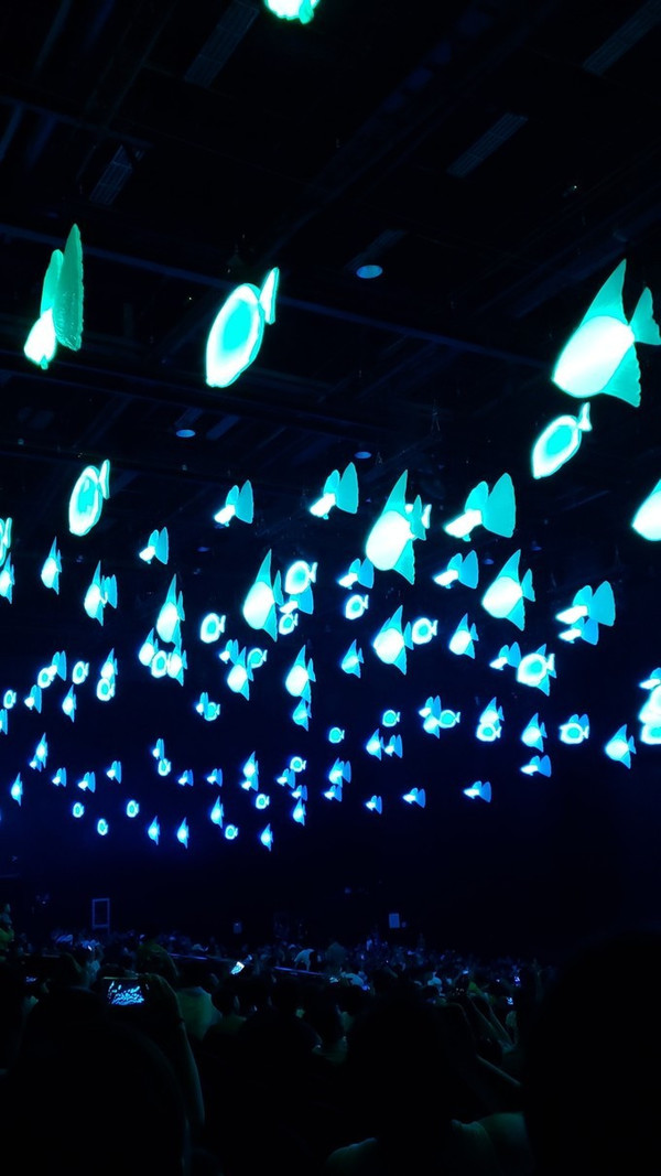 三亚独行攻略,三亚必去的景点和美食