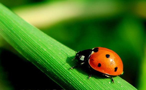 单反数码摄影入门教程,数码单反摄影进阶完全教程