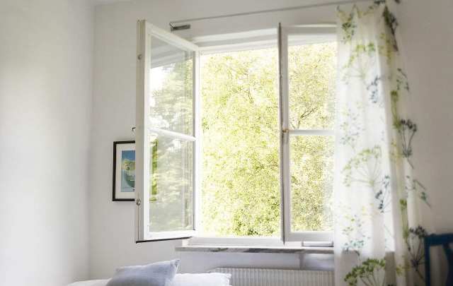 刚装修的房子里放洋葱能除甲醛吗,用洋葱可以除甲醛吗效果怎么样