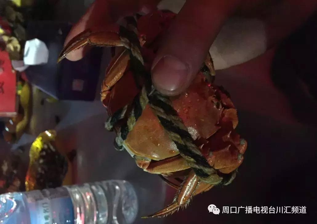 鎰熻阿鏈変綘,鎰熻煿鏈変綘绀肩洅