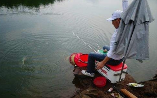 晚秋鲤鱼不开口,晚秋小鱼闹窝怎么钓鲫鱼