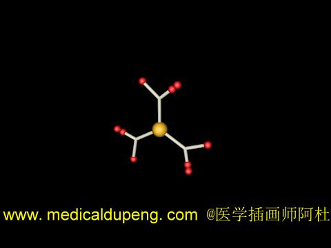 医学插画插图,医学插画sci