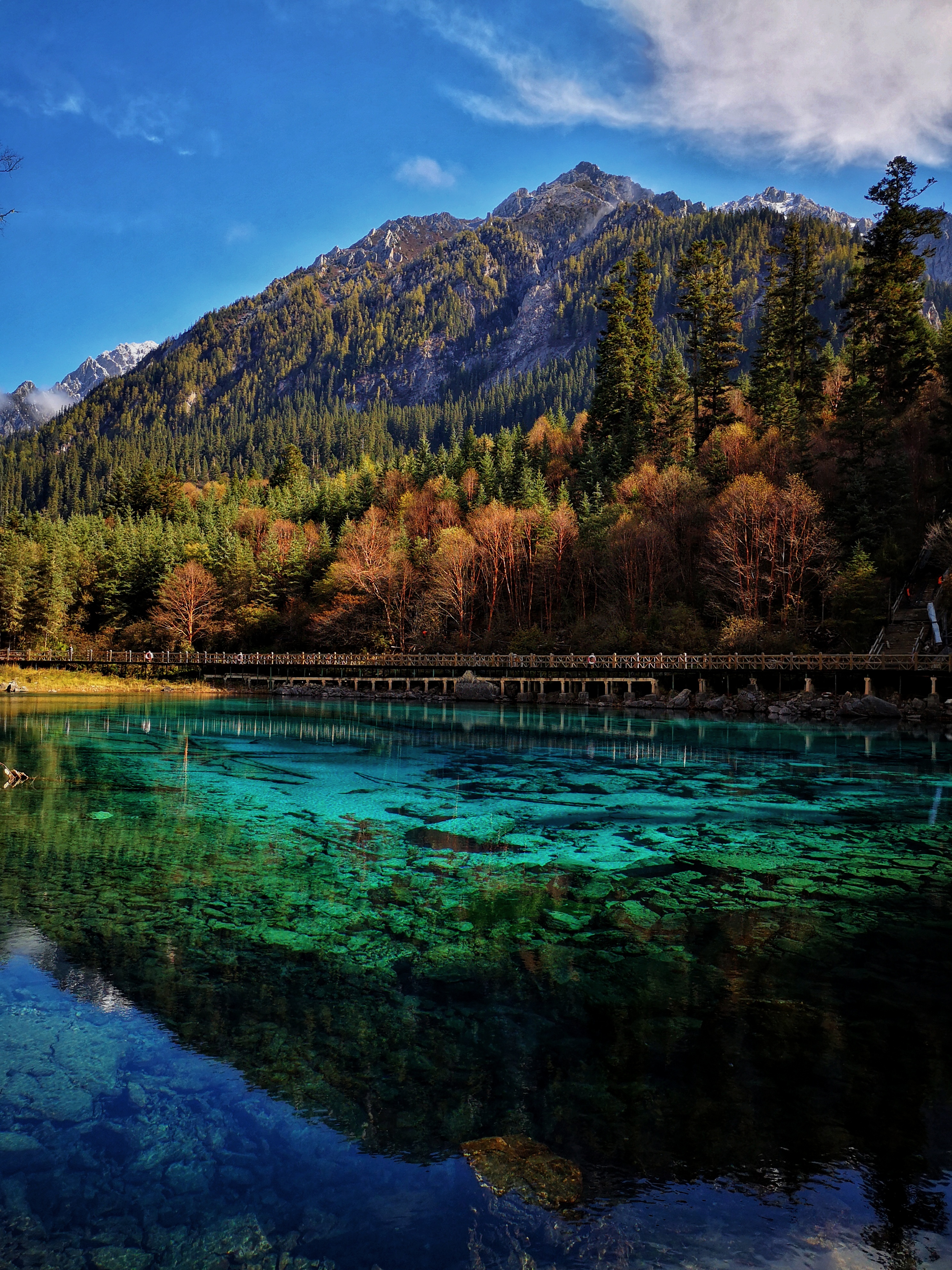 秋天的九寨风景区,秋天的九寨沟风景区山水视频
