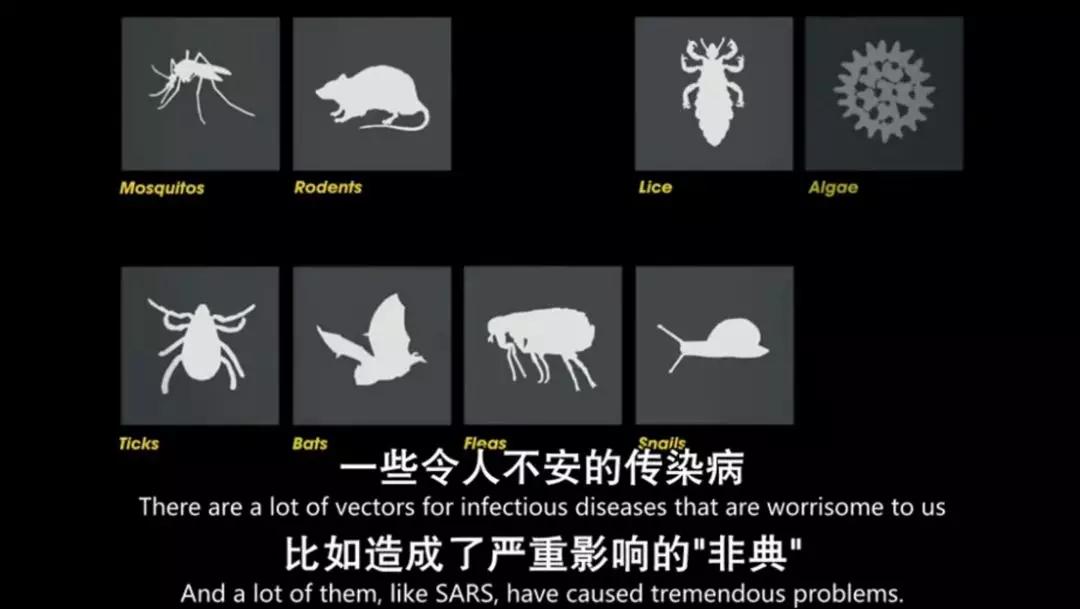 灾难纪录片真实事件,非常震撼的灾难片有哪些