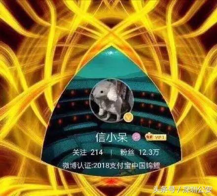 锦鲤活动什么时候开始的,锦鲤活动的关键点