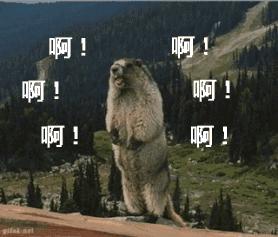 囧！天仙脸配上大黄牙，这是什么操作？！