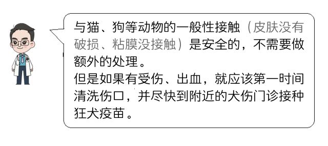 被蚂蚁咬了要去打狂犬疫苗吗,被红火蚁咬了6天可以打疫苗吗