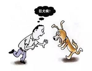 狂犬病毒感染一般多久能治愈,狂犬病病毒发作后有办法治愈吗