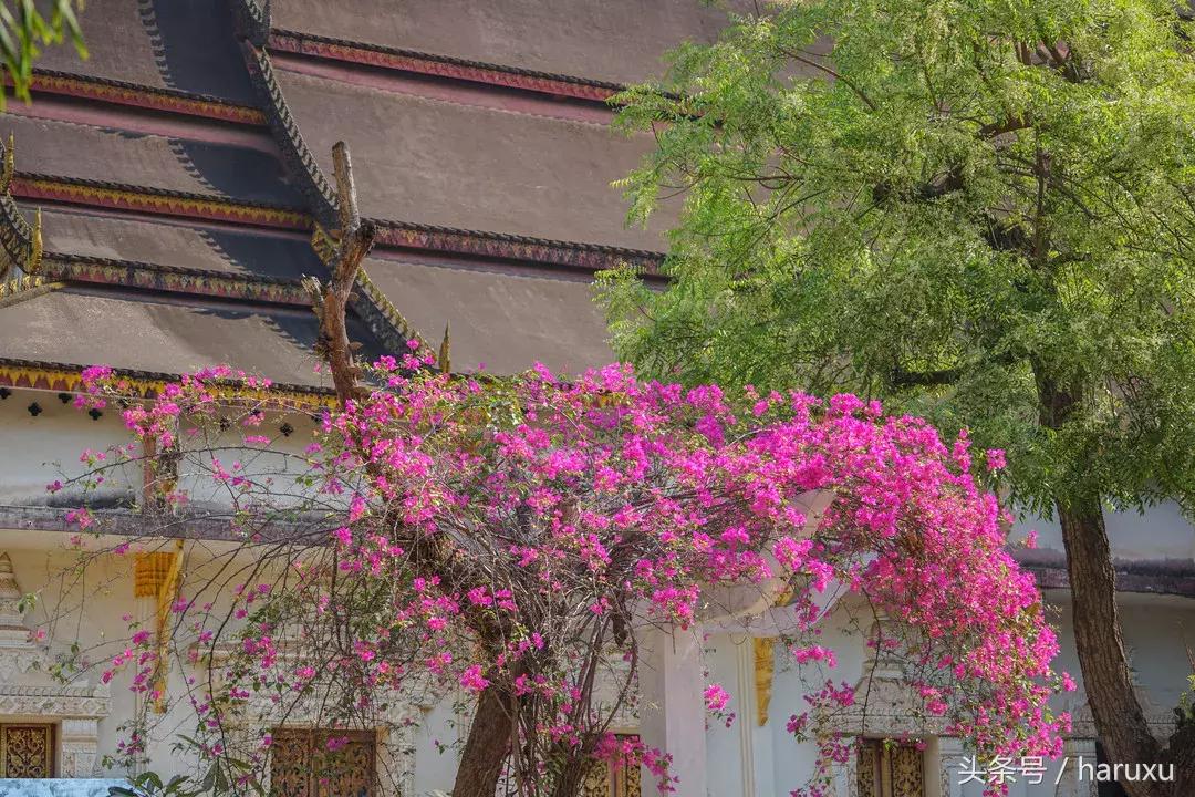 老挝的首都什么时候改到万象的,老挝首都万象什么时候开城