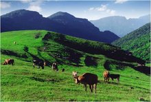 山西晋城市概况,晋城市概况
