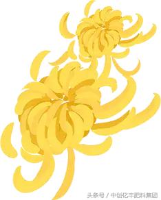 九九重阳节的古诗,九九重阳节浓浓敬老情