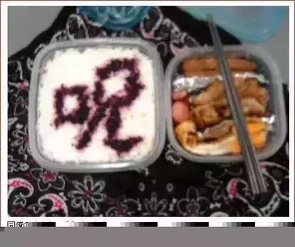 日本网友晒超可怕“恶妻便当”,这碗独特的狗粮你Get到了吗？