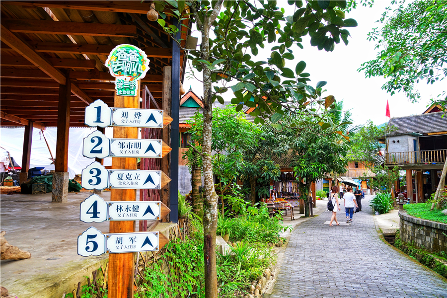 秀丽神奇的西双版纳完整版,云南西双版纳神奇的地方