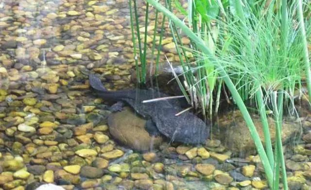 秋意浓，又到了泡温泉的好时节！南京汤山可真是个泡温泉的好地方