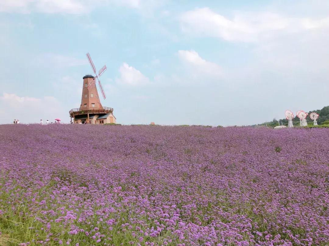南京汤山温泉天气,汤山风景区秋天