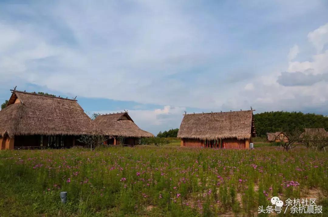 9090000㎡！余杭新增一大型公园，1299个足球场大！