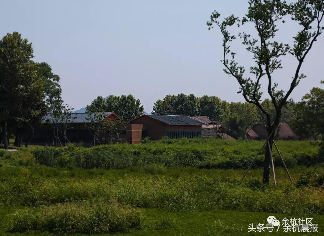 9090000㎡！余杭新增一大型公园，1299个足球场大！