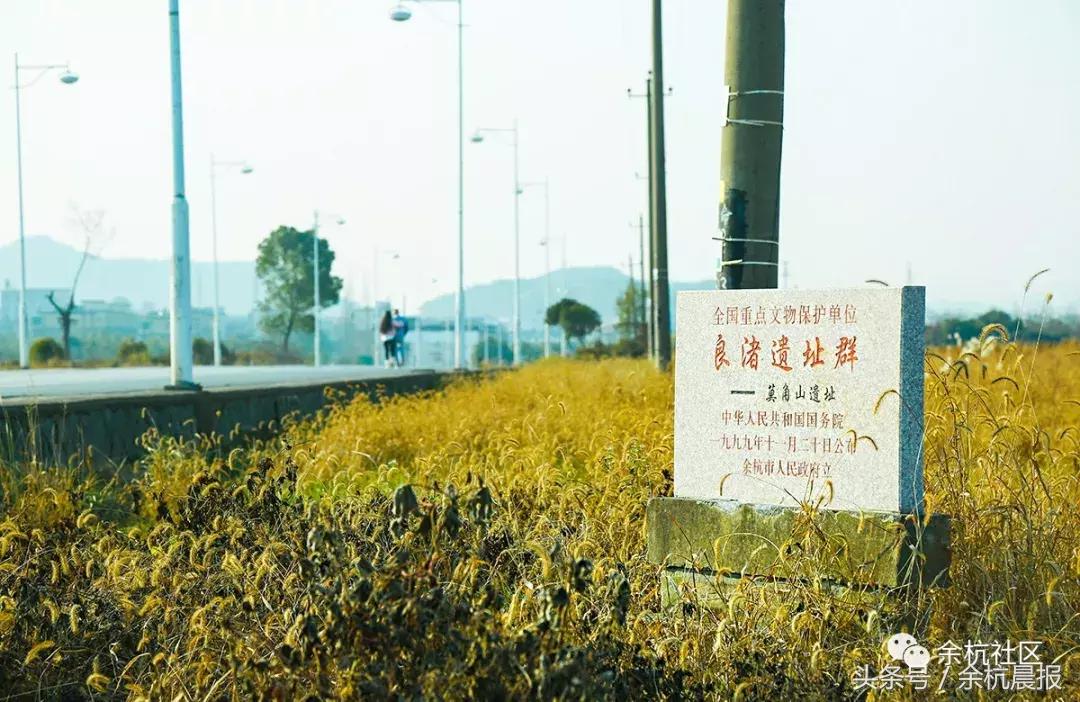 9090000㎡！余杭新增一大型公园，1299个足球场大！