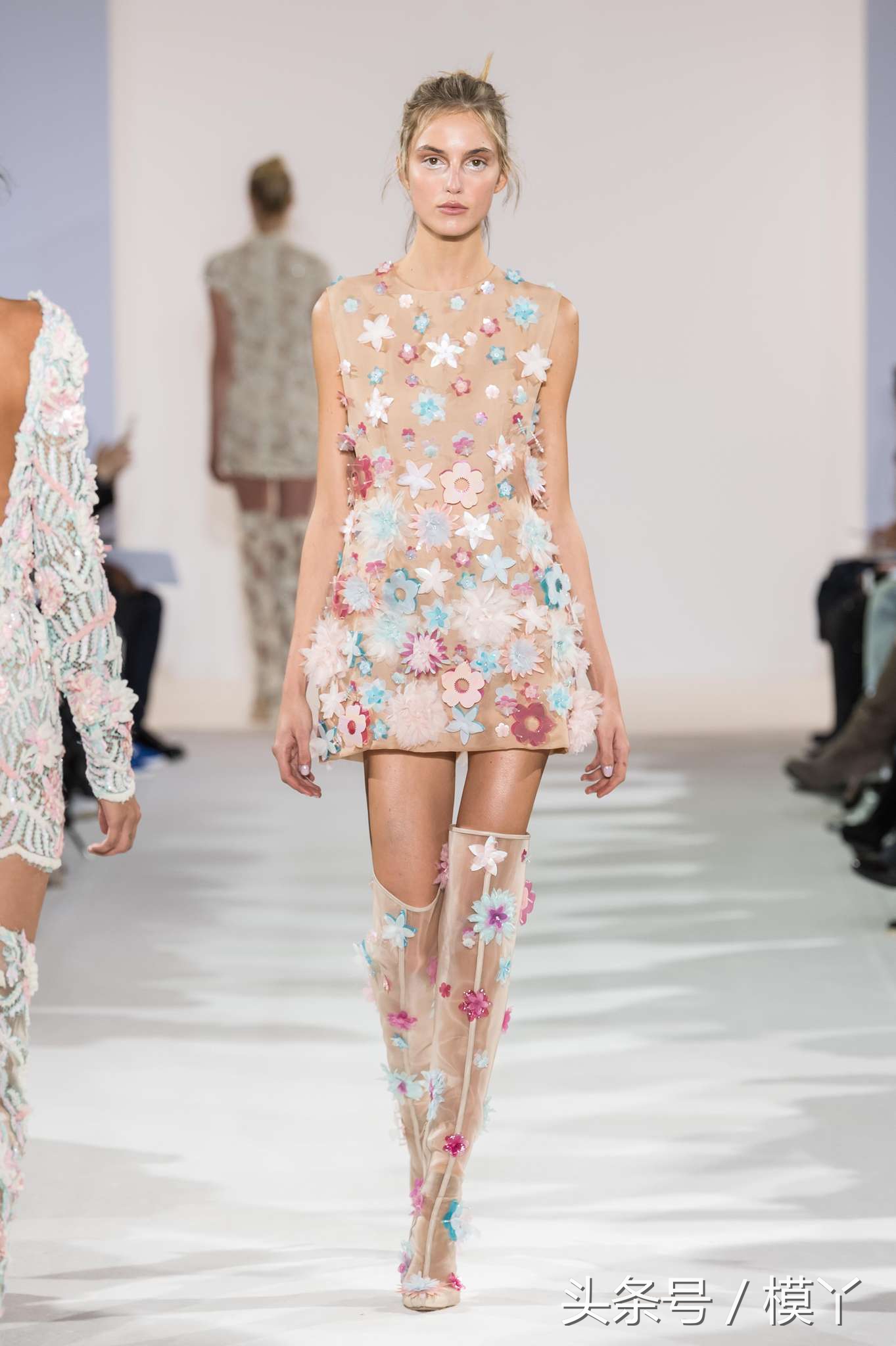 celiakritharioti楂樺畾,celiakritharioti濠氱罕