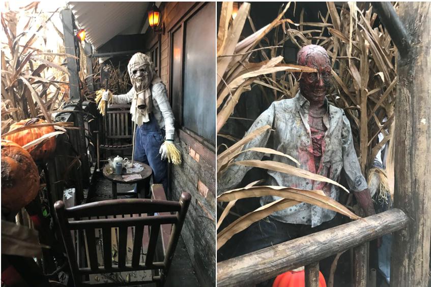 香港海洋公园11月,香港海洋公园北极之旅