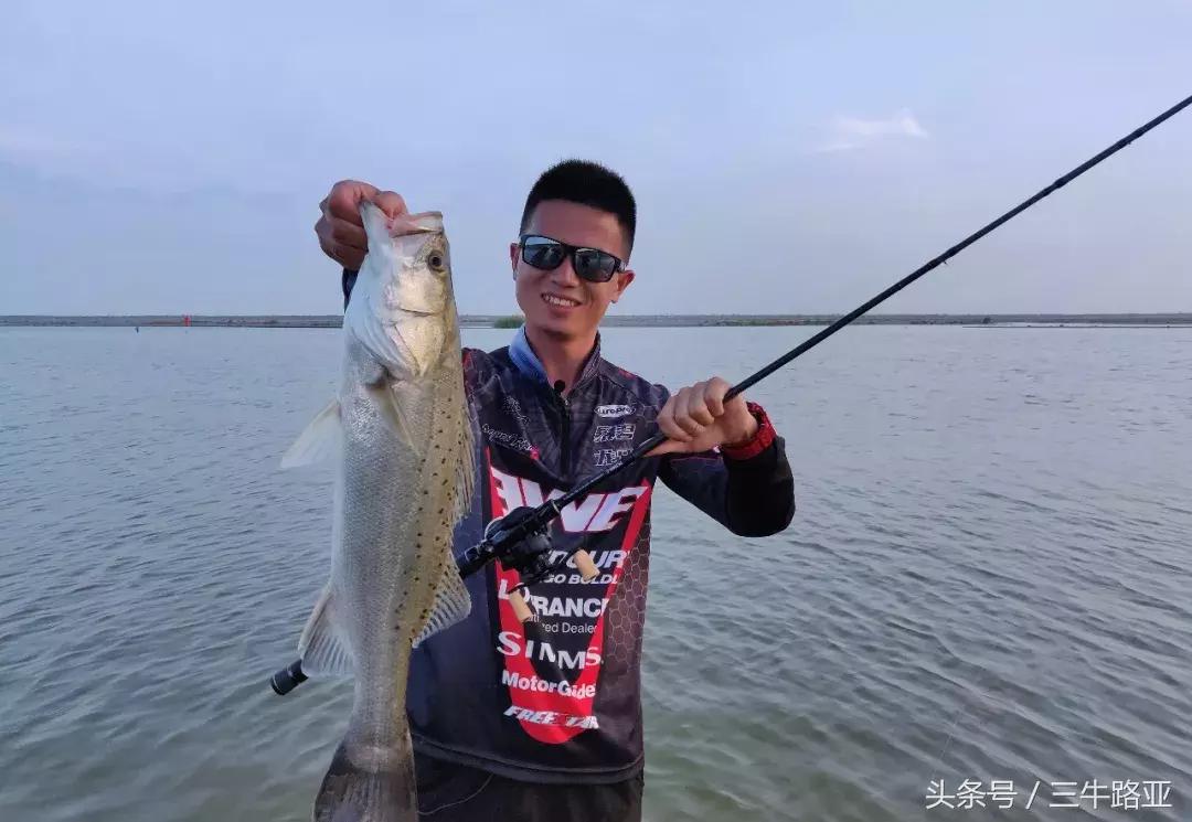夏季如何路亚大口黑鲈,ewe路亚海鲈