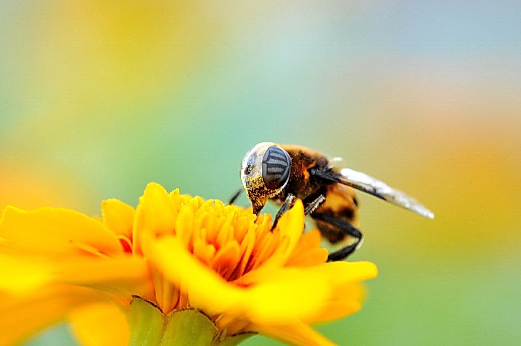 单反拍摄视频对焦模式,尼康单反对焦模式怎样设置