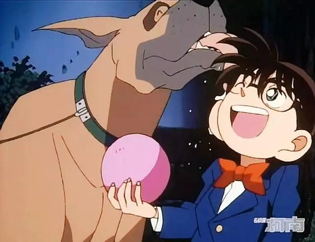 服了，看过诸多精彩表演，柯南君竟然可以和汪星人互动到当坐骑！